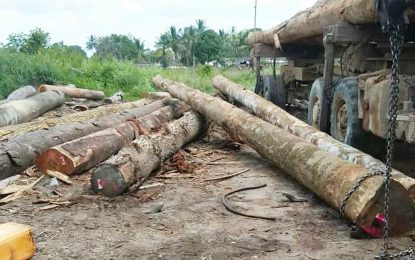 Man crushed by falling log at sawmill