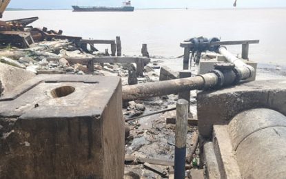 Private companies dumping raw sewage at Kingston outfall