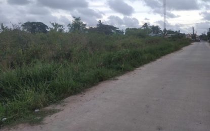 Unidentified body of elderly woman found naked in field