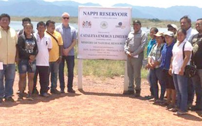 US$1.25M Nappi reservoir producing results- says CEO of Cataleya Energy Limited