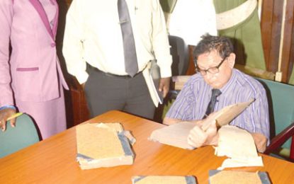 Town Clerk instructed staffer to remove documents from Council archives