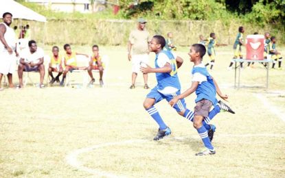 Much action on day two of COURTS Peewee football tourney