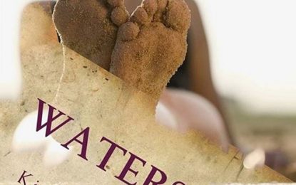 Book Review… Lust, Love and Rape – An Unlikely Outcome Defines Saga