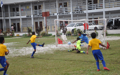 Third EBFA/Ralph Green U-11… Timehri Panthers, Grove Hi Tech, Swan Diamond Upsetters & Agricola post first day wins