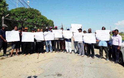 Albion tractor operators  protest slash in payment rates