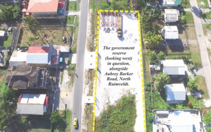 Royston King backdated, signed lease for reserve land when he became Town Clerk