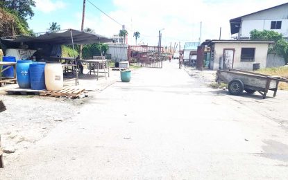 Security guard shoots thief  during foiled robbery