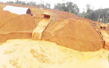 Crackdown begins on illegal mining after deadly pit accident