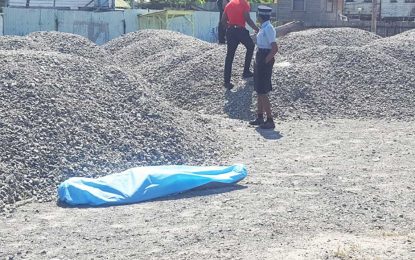 Body found on Mon Repos Public road identified as Vryheid’s Lust pensioner