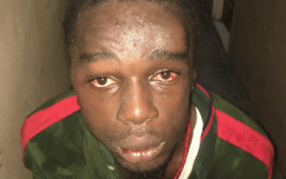 Victims trash gun toting bandit