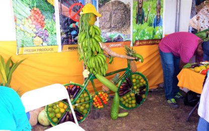 An estimated 60,000 Guyanese suffer from undernourishment,’ says FAO’s rep