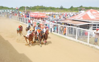 Not This Time looking to cash in at Race of Champions Horserace Meet Sunday