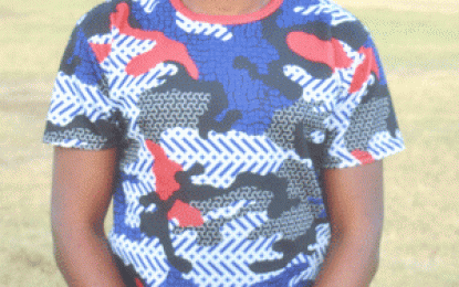 Hamilton Green 9-a-side Inter-Ward/ Village KO Cup football… Who will make it to the business end will be known today? -hosts Den Amstel to appear in feature