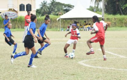 Smalta Girls Pee Wee Football Continue Today