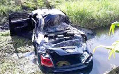 Bee Hive death car cop commits suicide