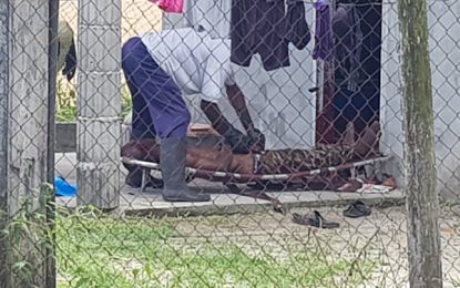 Man decapitates brother-in-law in diamond house