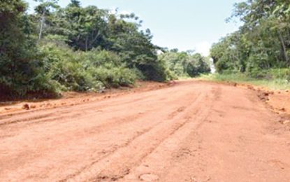Opposition pushes for special audits on road projects