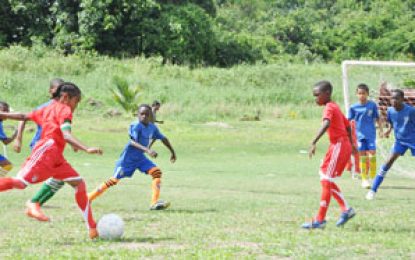 EBFA/Ralph Green U-11 League Grove battle back to earn exciting draw against Agricola; Timehri win big – Top four remains close
