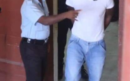 Domestic abuser beats, bites arresting officers