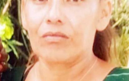 Sisters killed by speeding driver were sitting in bus shed