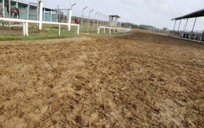 All set for Race of Champions Horserace Meet today at Port Mourant