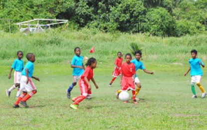 EBFA/Ralph Green U-11 League Another flawless day for the front runners; top four remain unchanged