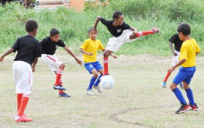 EBFA/Ralph Green U-11 League Six more matches set for Diamond Ground tomorrow