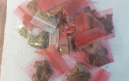 Police ‘stop and search’ leads to 24 arrests