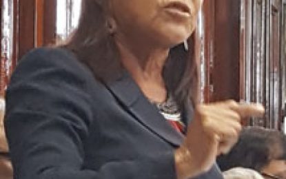 Provide evidence of $$ spent in hinterland communities – PPP MP …as Govt. boasts about expenditure in 2019 budget.