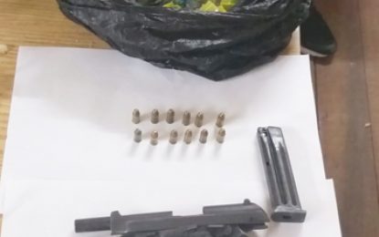 Couple arrested, gun seized in “Skull City” raid