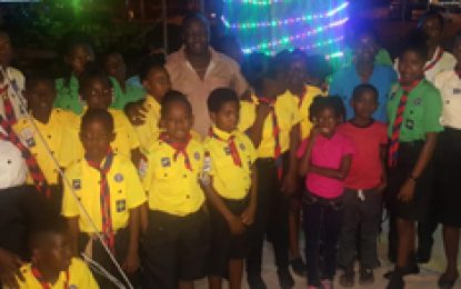 C-PETS, ‘D’ Division hosts inaugural Christmas Tree light-up