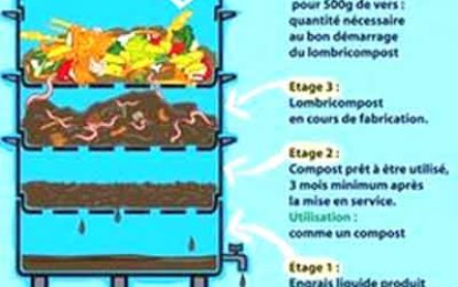 With the help of the lowly earthworm…Farmer sees business potential in vermicomposting