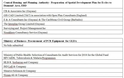 Foreign Companies Express Interest in Guyana Projects