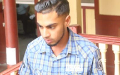 Brothers granted bail for damaging car