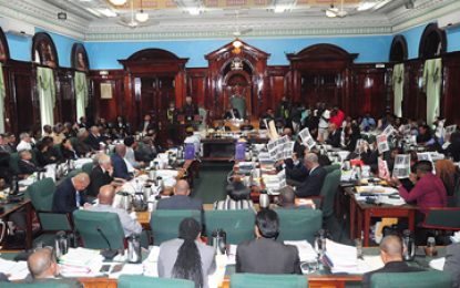MPs can be jailed for ignoring constitution on dual citizenship