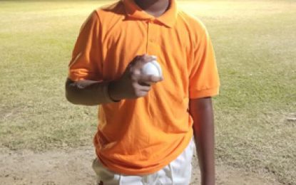 Romeo Deonarain leads DCC to victory over Transport Sports Club