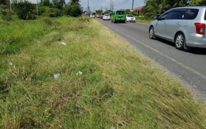 Foetus left on parapet at Liliendaal