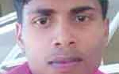 Suspect in fatal Soesdyke hit-and-run flees country