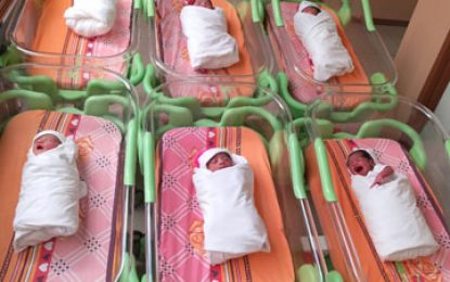 Six newborns recorded at Dr. Balwant Singh Hospital on January 1