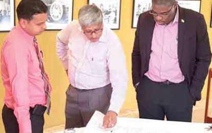 Govt. to construct second entrance to Diamond Housing Scheme