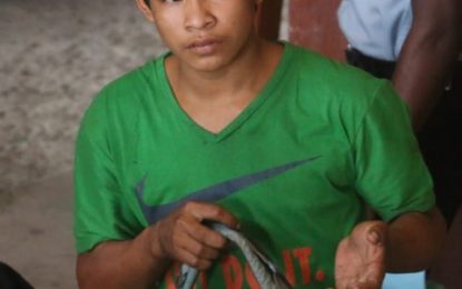 Teen who allegedly killed man with bow and arrow charged with manslaughter