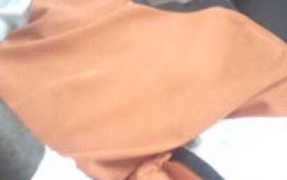 Sophia man denies murdering elderly dad