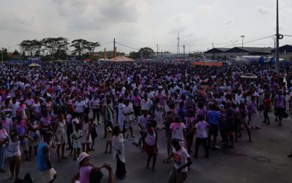 7th Annual Phagwah Festival showcases ethnic harmony