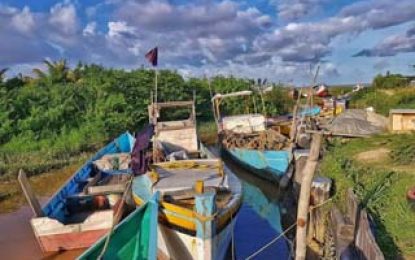 Proposed seafood facility for E’bo fishermen