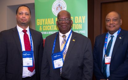 GO-Invest urges local miners to partner with international business