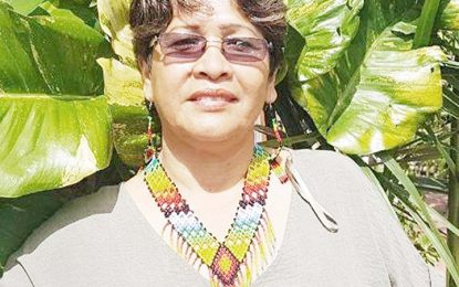 APA: 28 years of fighting for Indigenous People’s rights