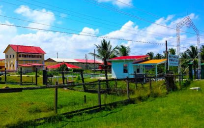 6 juvenil es escape from New Opportunity Corps