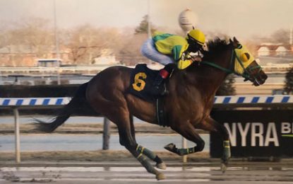 Guyanese horse trainer Dharamjit making waves in U.S.