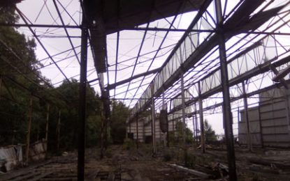 Urgent repairs needed to Vreed-en-Hoop Stelling -structure poses danger to vendors and speed boat commuters