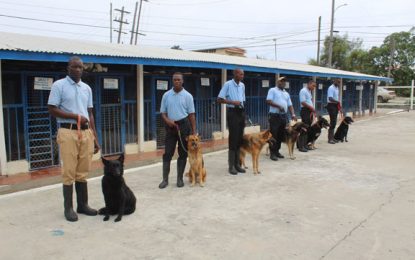 Scent of a crime—The Canine Section of the Guyana Police Force